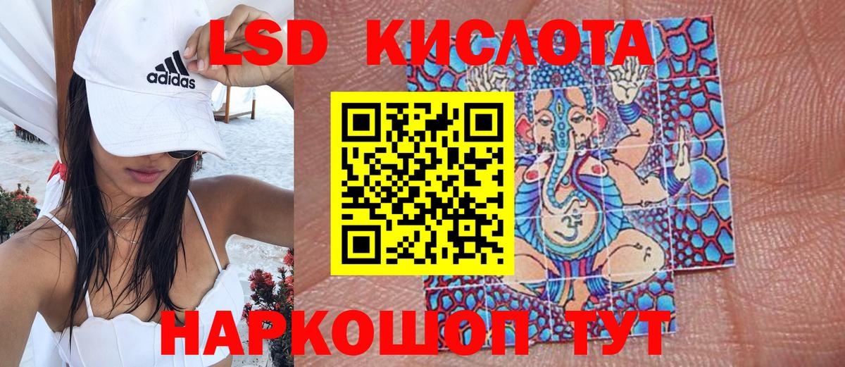 Марки NBOMe  Наркотические марки 1,8мг  цена наркотик  Вход с VPN  Наркотические марки 1,8мг  Горячий Ключ 