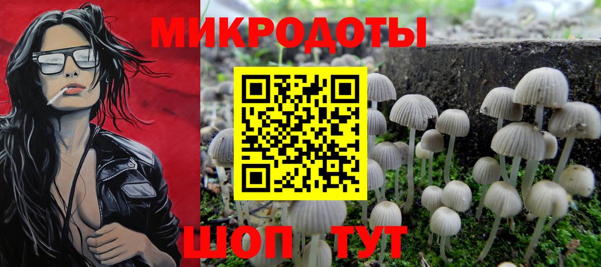 Галлюциногенные грибы Psilocybe Горячий Ключ